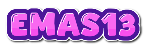 EMAS13 Logo
